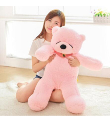 2 Feet Pink Color Teddy Bear