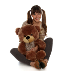 2 Feet Brown Color Giant Teddy Bear