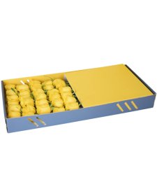 send 24 yellow roses in box to cecu in philippines