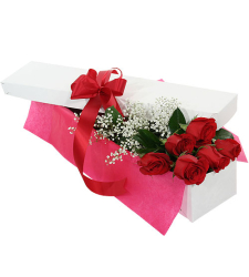 send 6 red roses in box to cebu to philippines