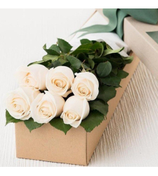 send 6 white roses in box to cebu in philippines