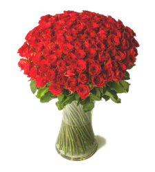 100 Fresh Red Color Roses in a Vase