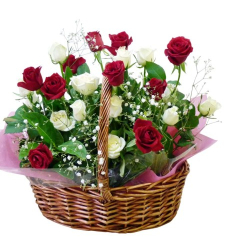 2 Dozen Fresh Red & White Roses in Basket