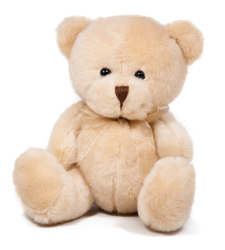 Small Size Teddy Bear 8" Inches