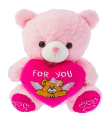 Small Size Pink Teddy Bear with Love Pillow