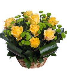 12 Yellow Roses in Basket