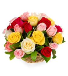 24 Pieces Mix Color Roses in Basket